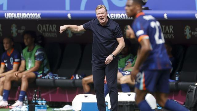 1718557206100017552.jpg 23.jpg